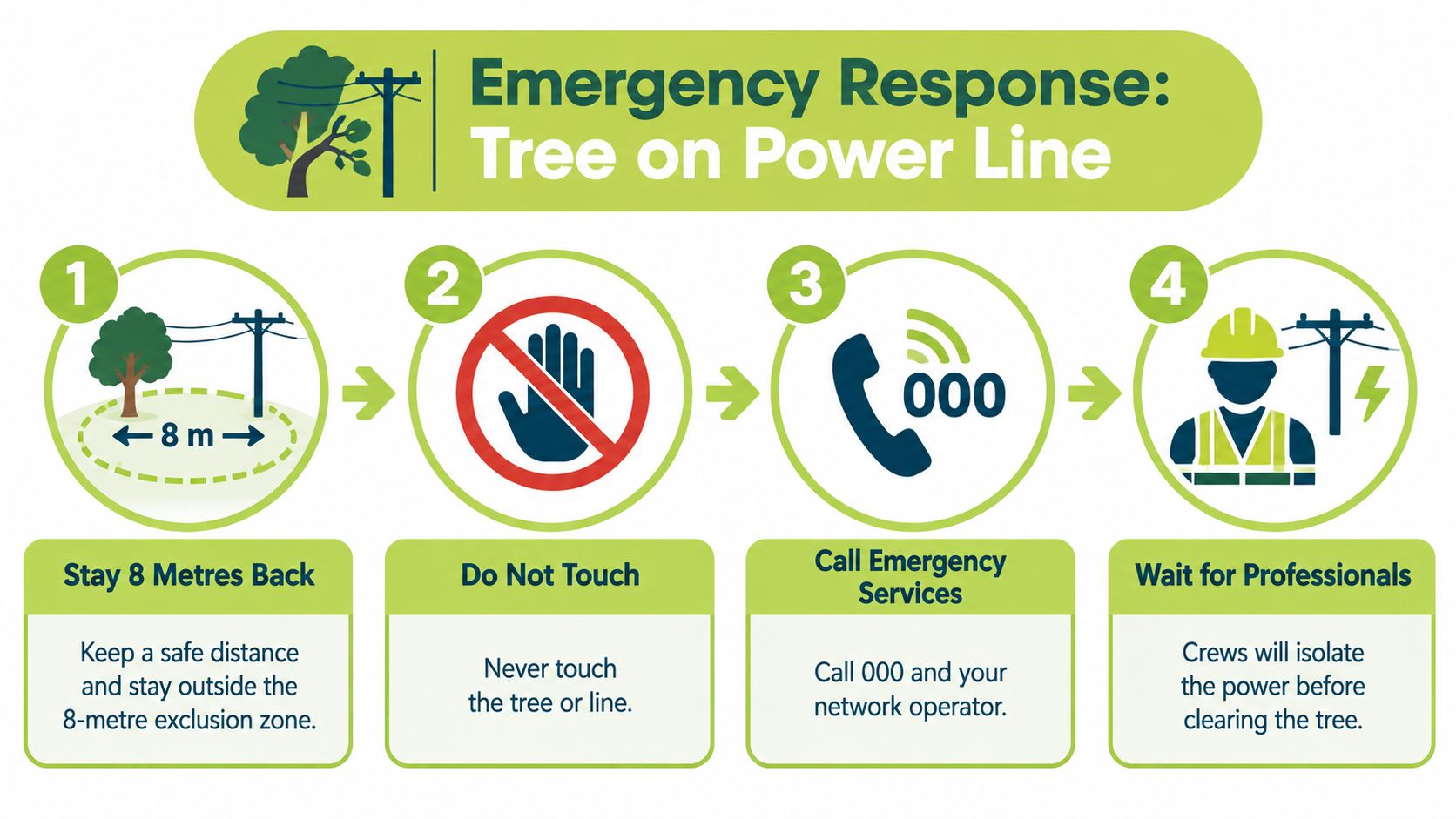 A four-step infographic illustrating emergency response procedures when a tree falls on power lines.